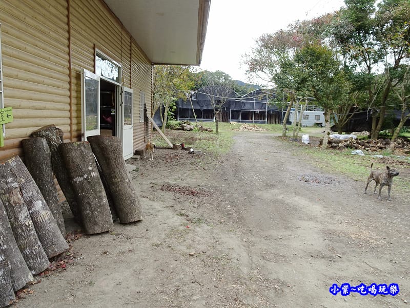 桃園復興-楓田農場 (19).jpg 桃園復興-楓田農場 (19).jpg