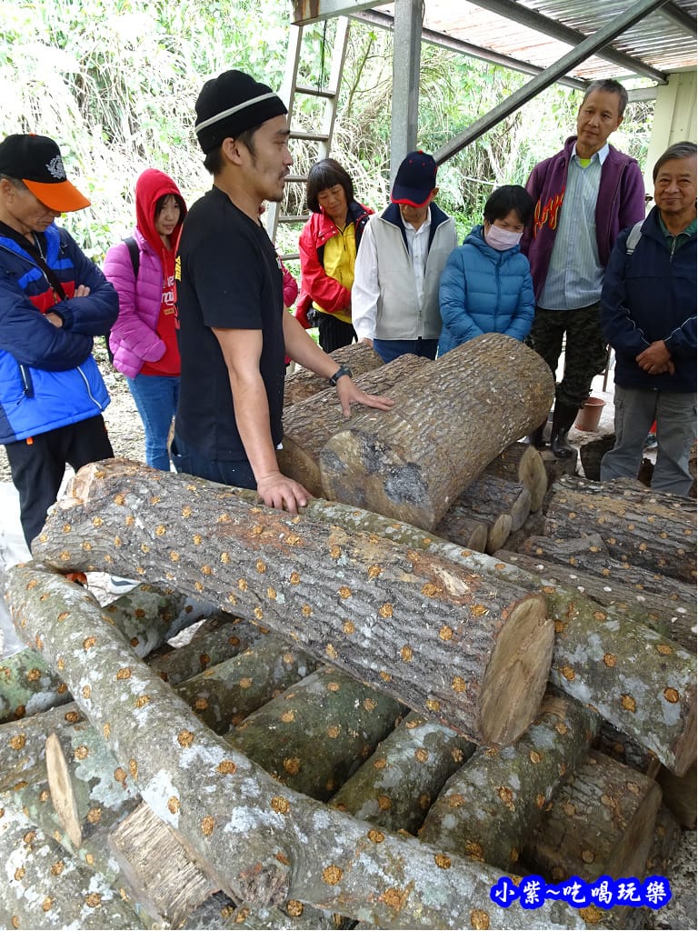 桃園復興-楓田農場 (1).jpg 桃園復興-楓田農場 (1).jpg