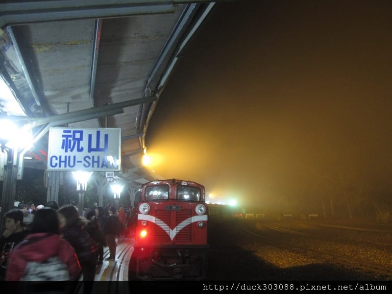 阿里山櫻花季2014 (295).jpg 阿里山櫻花季2014 (295).jpg