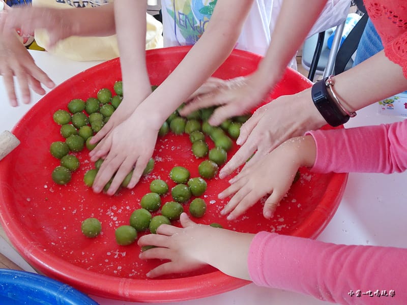 醃脆梅DIY5.jpg 醃脆梅DIY5.jpg