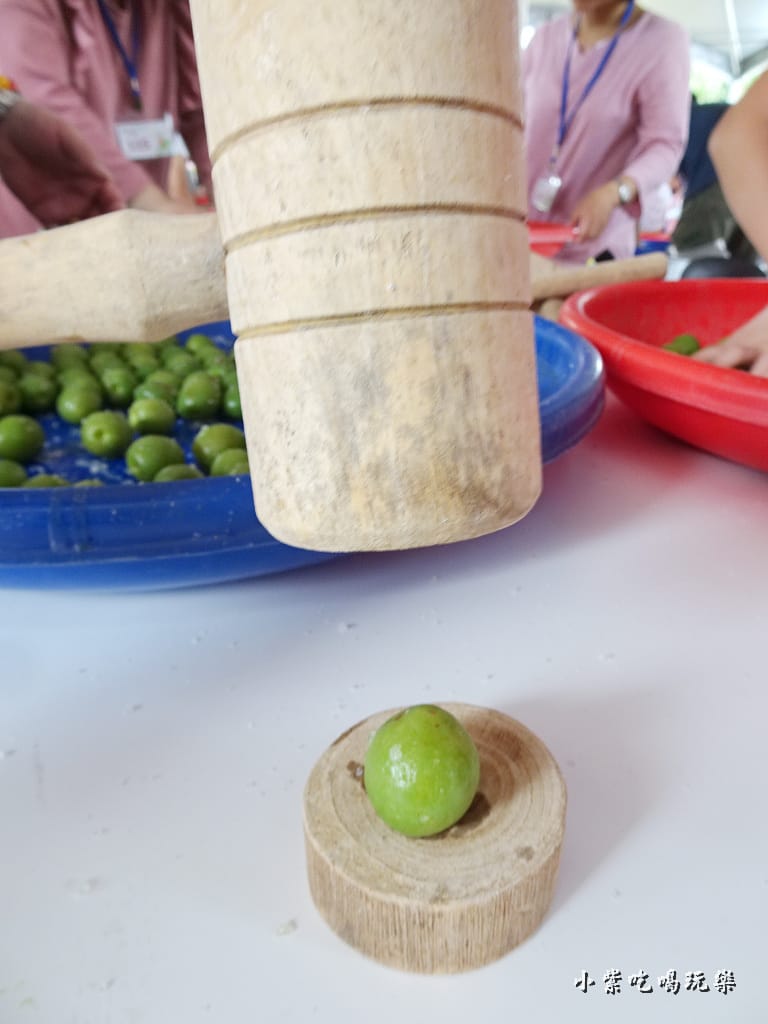 醃脆梅DIY8.jpg 醃脆梅DIY8.jpg