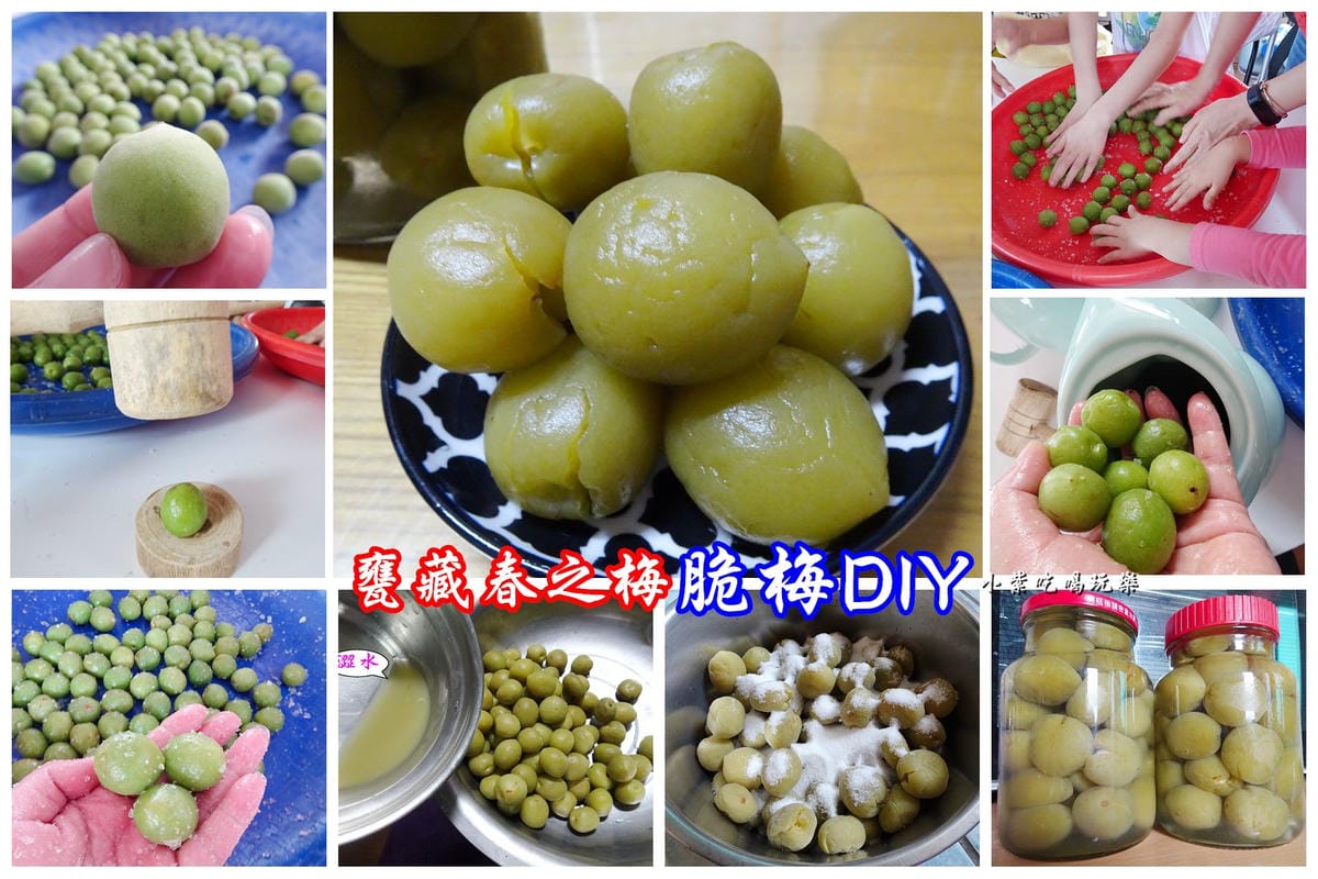 脆梅DIY首圖.jpg 脆梅DIY首圖.jpg