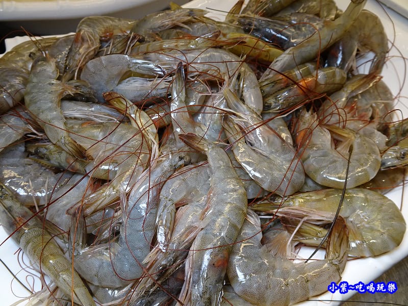 白蝦-食鮮日式火鍋吃到飽 (2).jpg 白蝦-食鮮日式火鍋吃到飽 (2).jpg