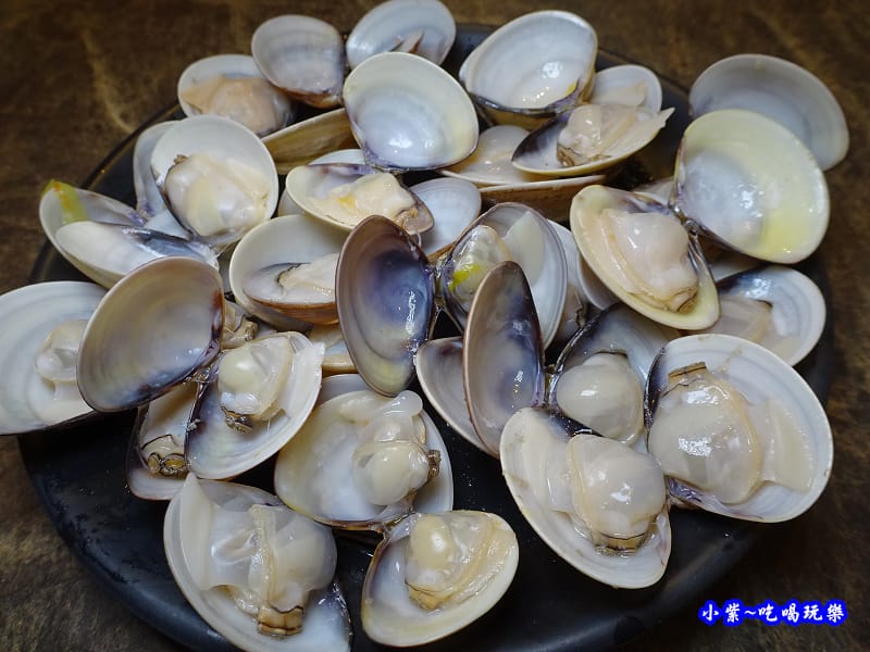 活蛤蜊-食鮮日式火鍋吃到飽 (3).jpg 活蛤蜊-食鮮日式火鍋吃到飽 (3).jpg