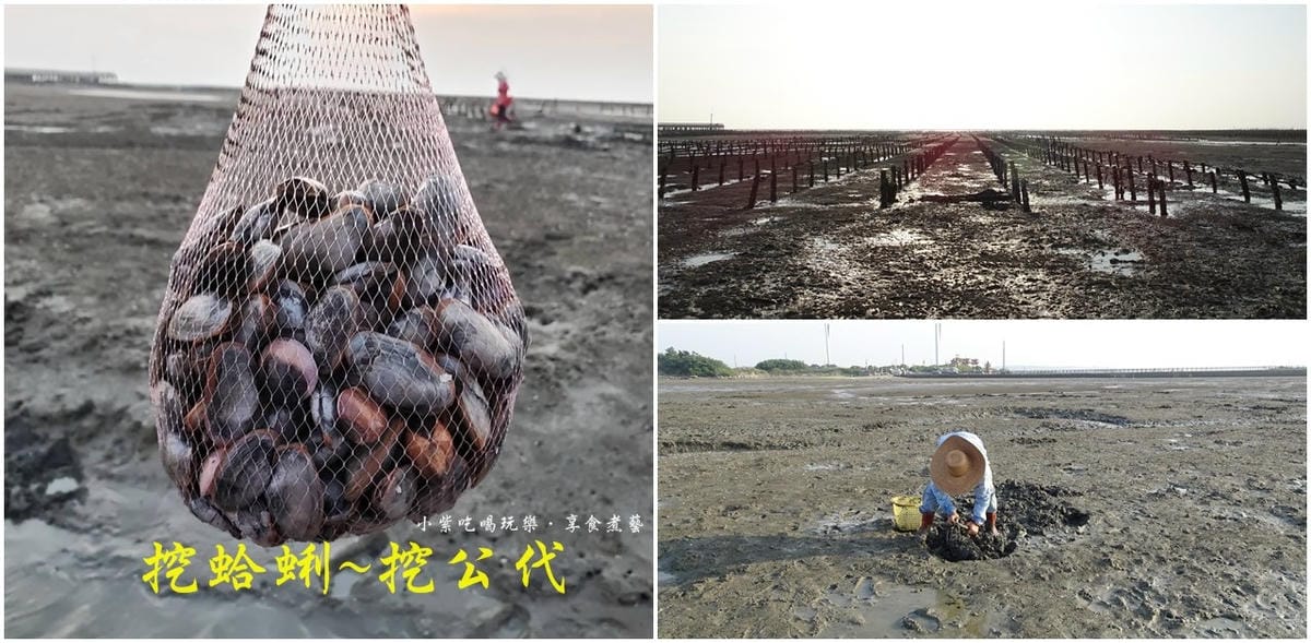 海山漁港挖公代首圖.jpg 海山漁港挖公代首圖.jpg