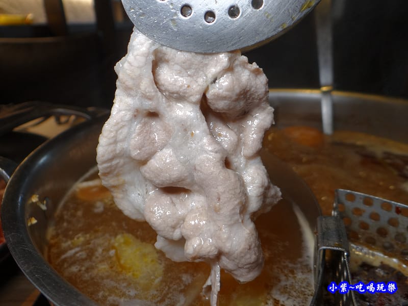 活菌豬-肉多多火鍋竹北店 (3).jpg