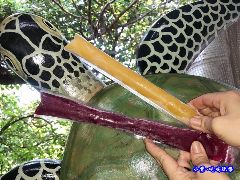 小琉球美食-允好嘉棒棒冰1.jpg 小琉球美食-允好嘉棒棒冰1.jpg