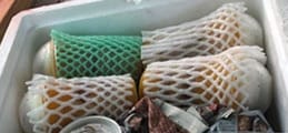 宅配允好嘉冰品 (2).jpg 宅配允好嘉冰品 (2).jpg