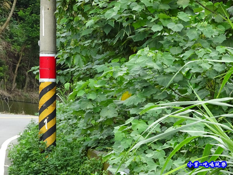 新社-白冷圳 (1).jpg