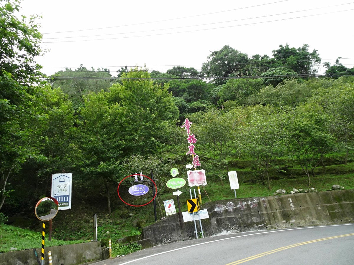 台中新社 (1).JPG
