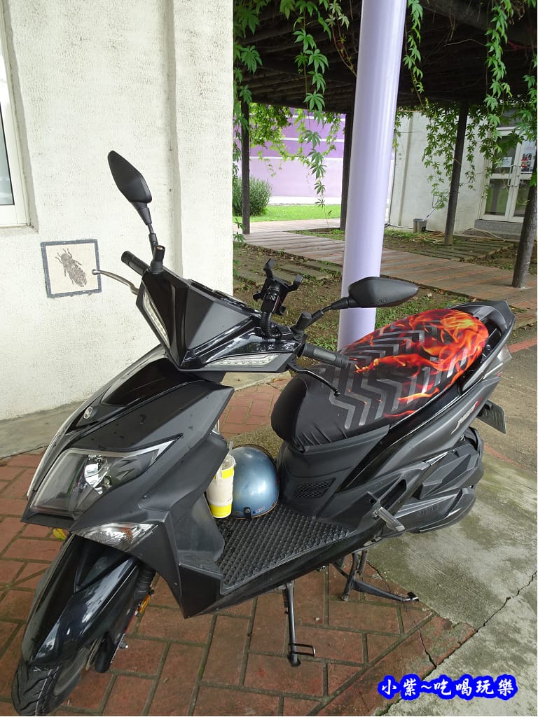 新社-星願紫風車2019-7月 (8)1.jpg