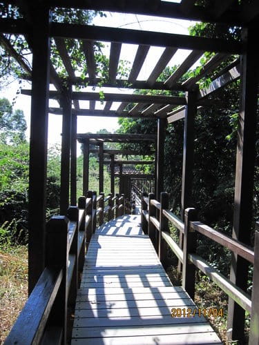 台中大坑美食推薦【老芋仔芋圓】和平地震公園/九號步道爬山後來一碗消暑冰品( 芋圓綜合)免費加煉乳#大坑排隊美食(食記MENU)