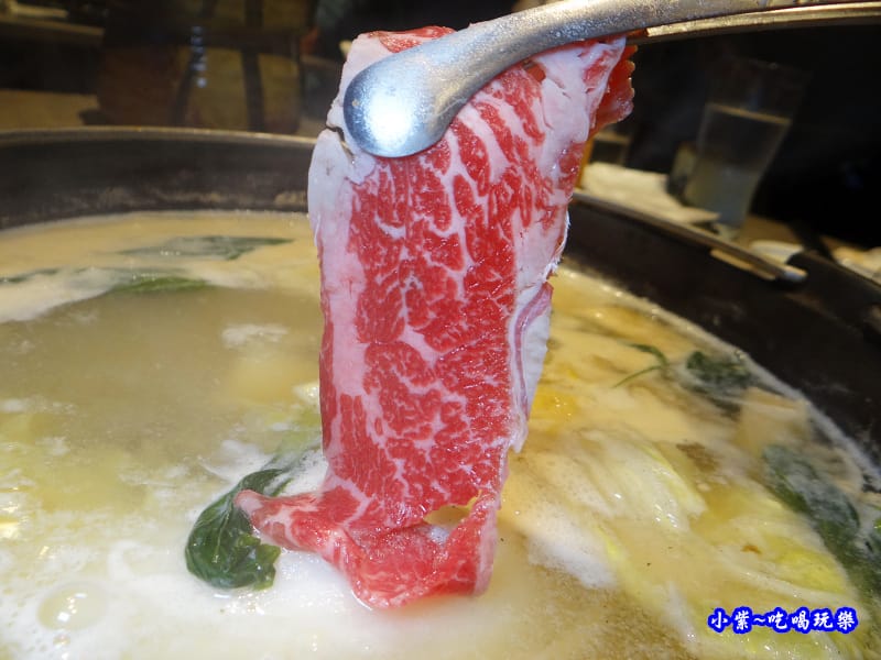 美國肩小排-山上走走 (4).jpg