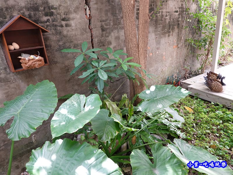 早午餐-桂緣食坊 (1).jpg