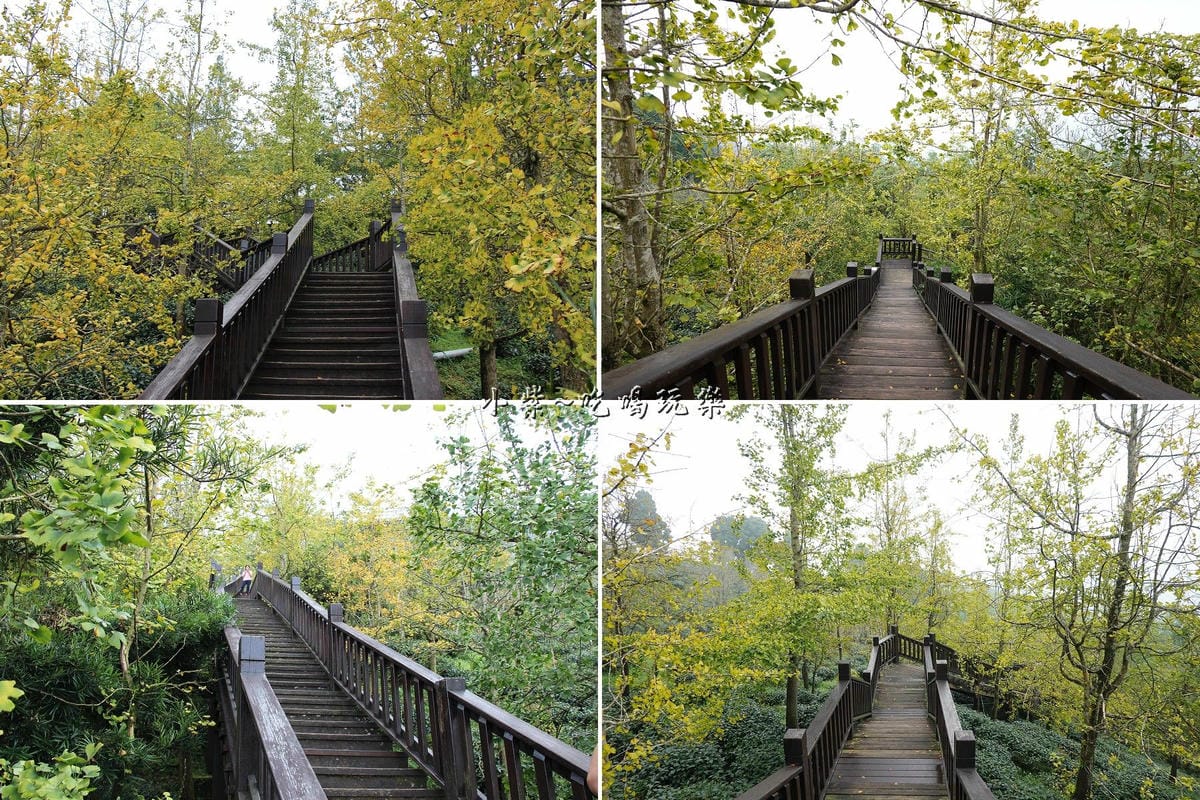 武岫農圃-銀杏林觀景步道 (37).jpg 武岫農圃-銀杏林觀景步道 (37).jpg