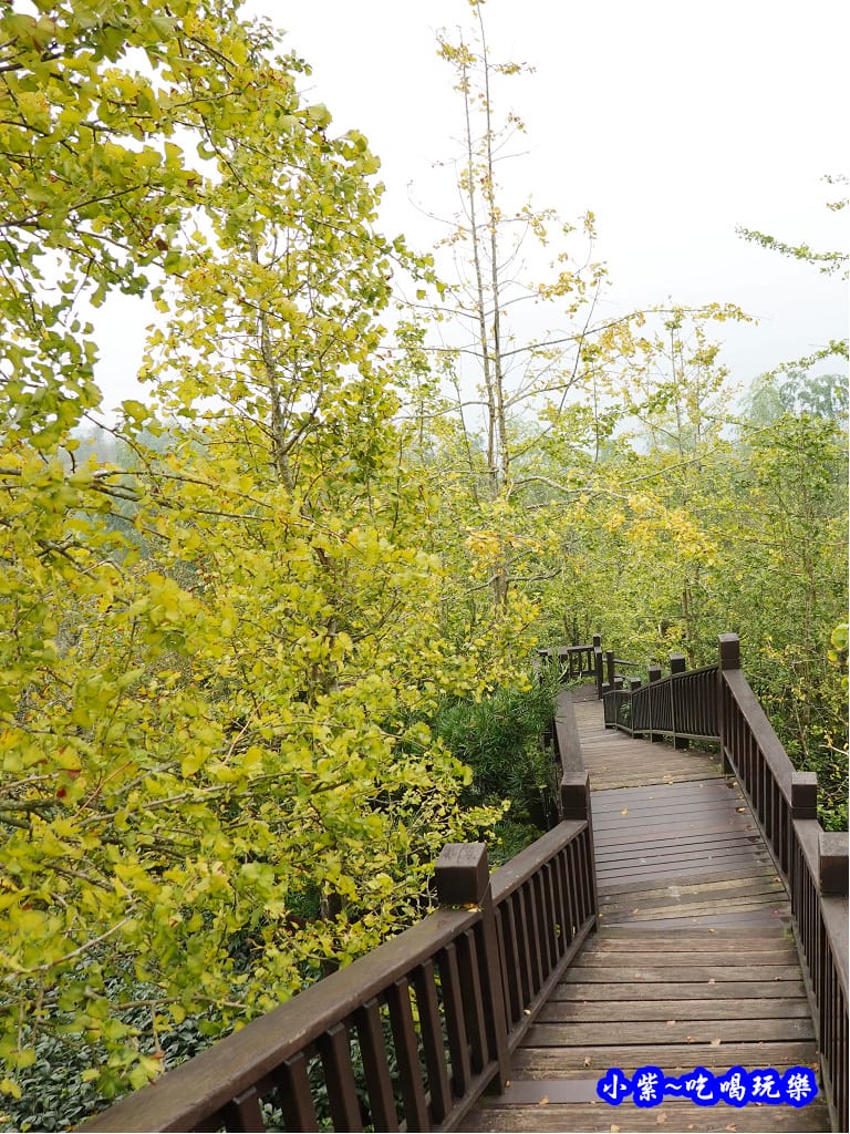 武岫農圃-銀杏林觀景步道 (45).jpg 武岫農圃-銀杏林觀景步道 (45).jpg