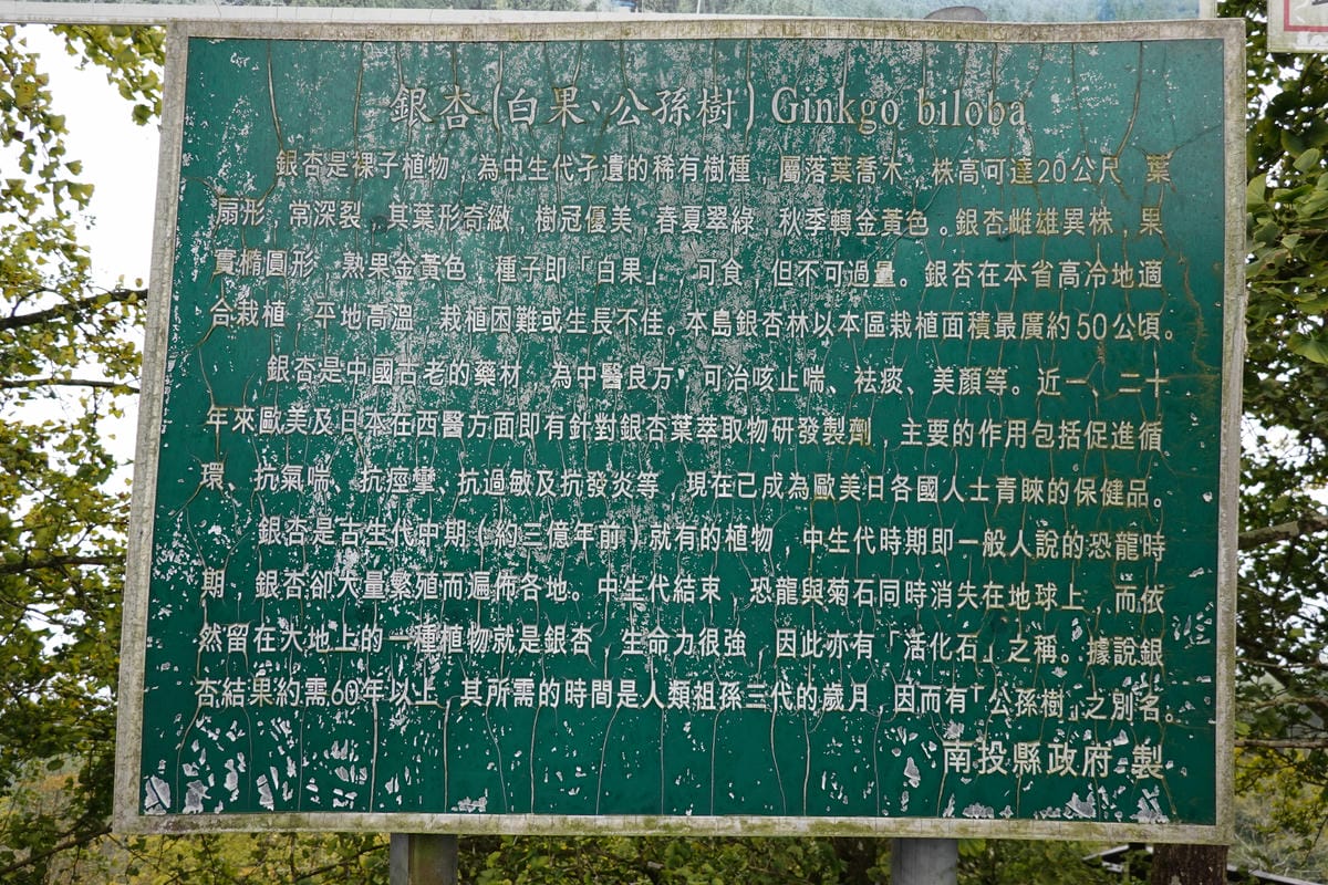 南投-武岫農圃 (12).JPG 南投-武岫農圃 (12).JPG
