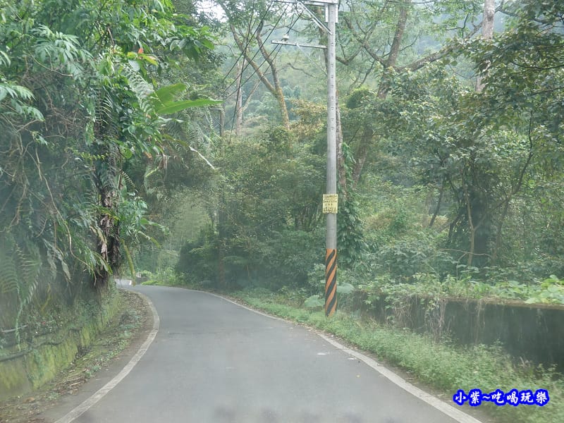 小半天往銀杏林產業道路.jpg 小半天往銀杏林產業道路.jpg