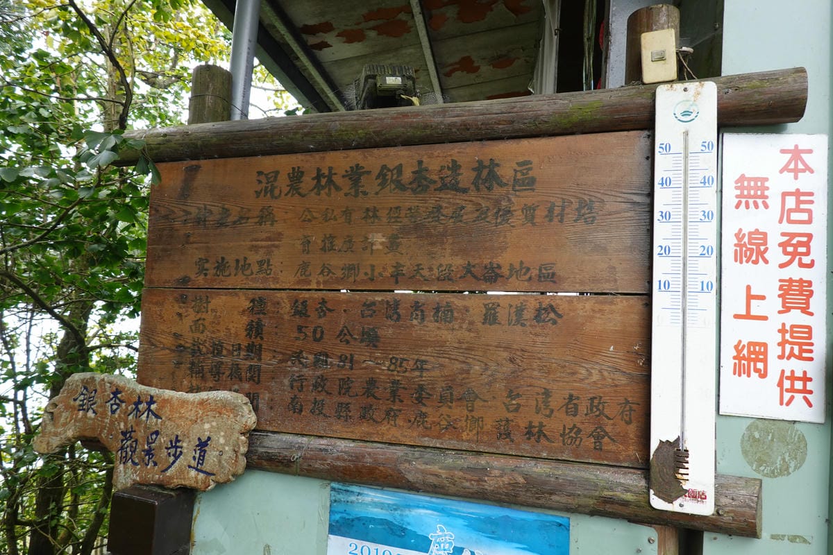 武岫農圃-銀杏林觀景步道 (22).JPG 武岫農圃-銀杏林觀景步道 (22).JPG