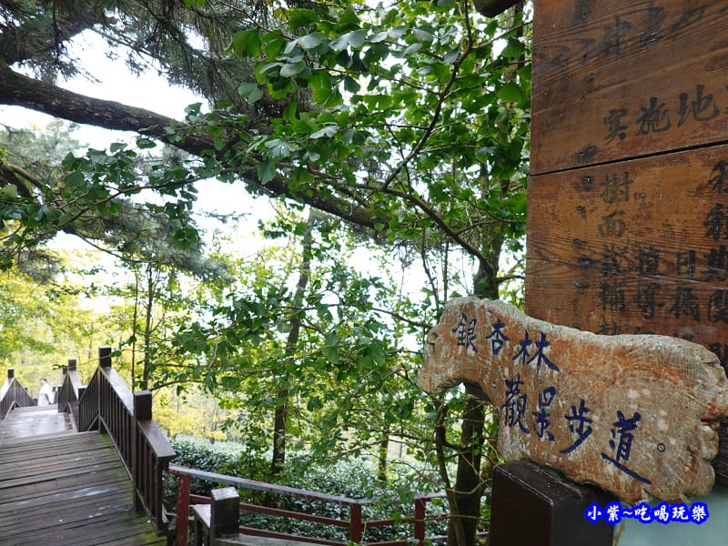 武岫農圃-銀杏林觀景步道 (2).jpg 武岫農圃-銀杏林觀景步道 (2).jpg