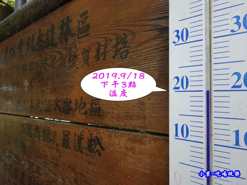 武岫農圃-銀杏林觀景步道 (26).jpg 武岫農圃-銀杏林觀景步道 (26).jpg