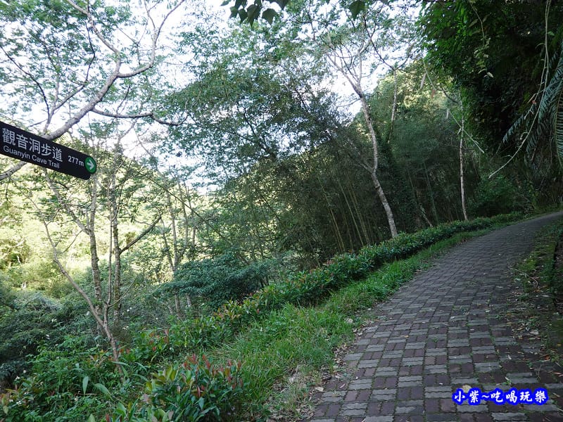 北橫-蝙蝠洞14.jpg 北橫-蝙蝠洞14.jpg