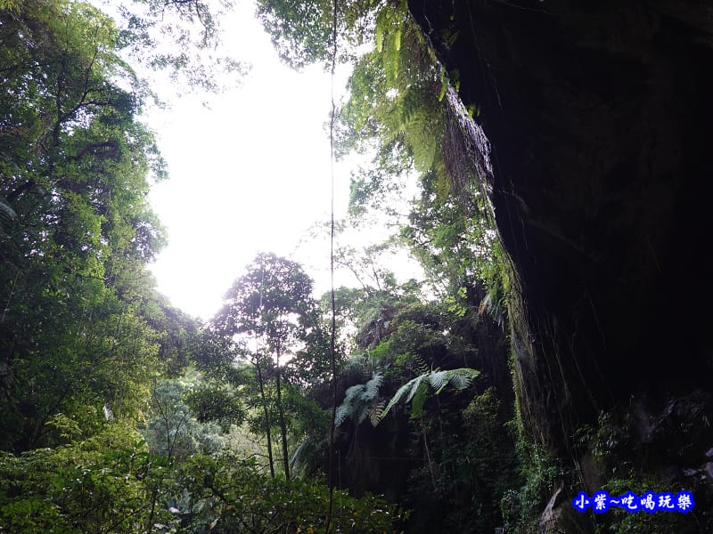 北橫-蝙蝠洞35.jpg 北橫-蝙蝠洞35.jpg
