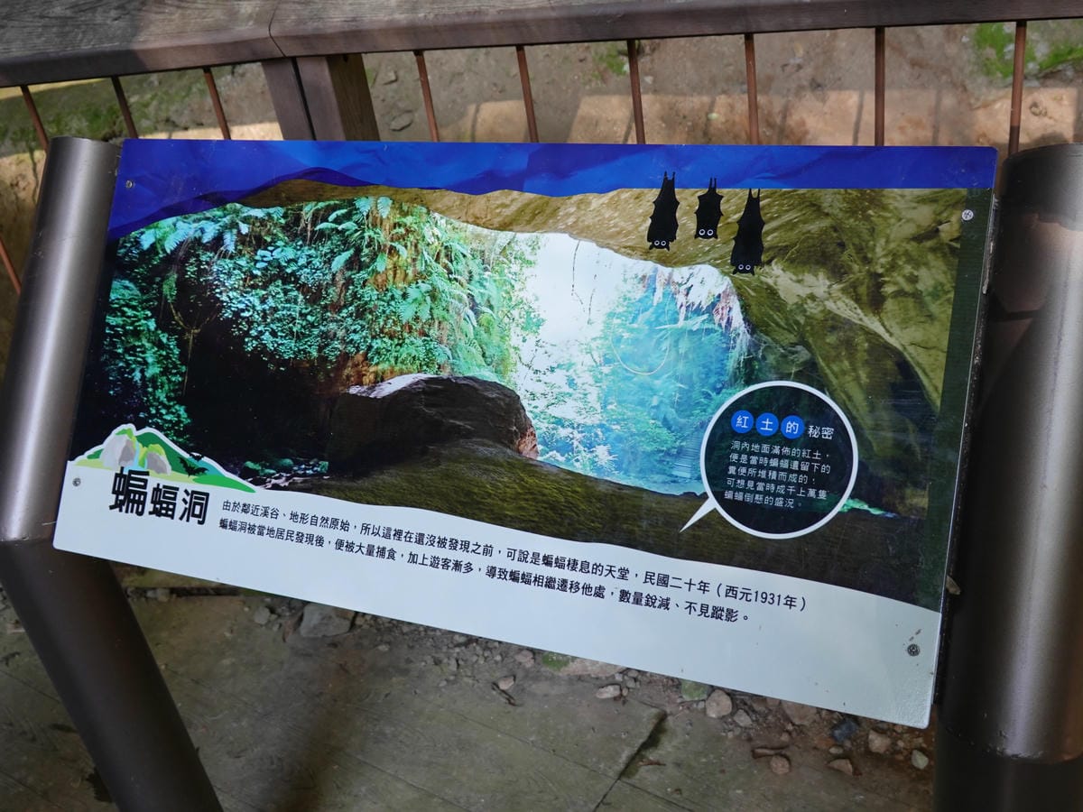北橫-蝙蝠洞 (3).JPG 北橫-蝙蝠洞 (3).JPG
