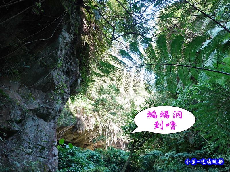 北橫-蝙蝠洞17.jpg 北橫-蝙蝠洞17.jpg