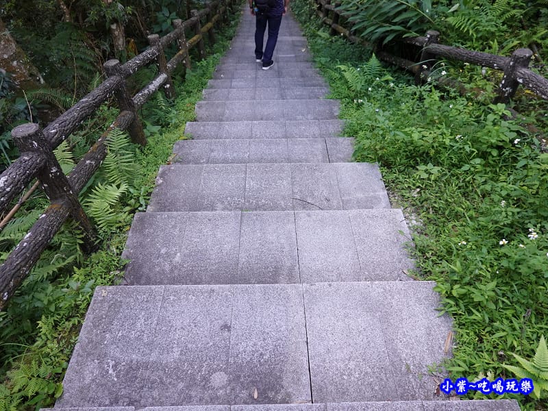 北橫-蝙蝠洞15.jpg 北橫-蝙蝠洞15.jpg