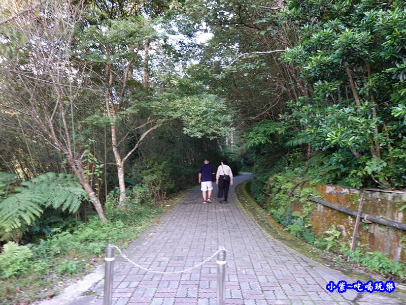 北橫-蝙蝠洞11.jpg 北橫-蝙蝠洞11.jpg