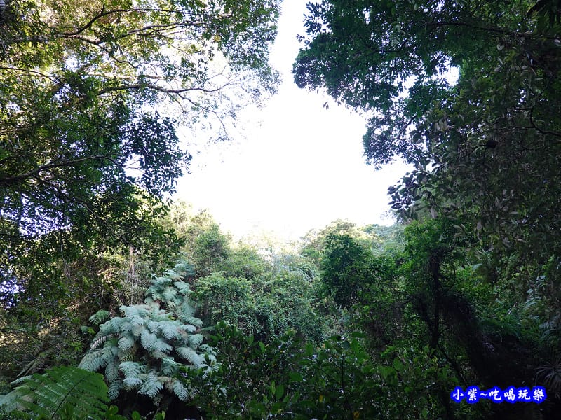 北橫-蝙蝠洞16.jpg 北橫-蝙蝠洞16.jpg