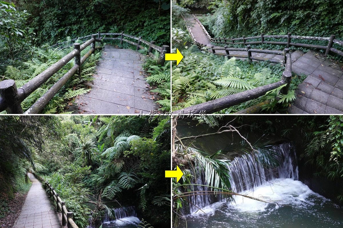 瞭望台下方往蝙蝠洞步道.jpg 瞭望台下方往蝙蝠洞步道.jpg