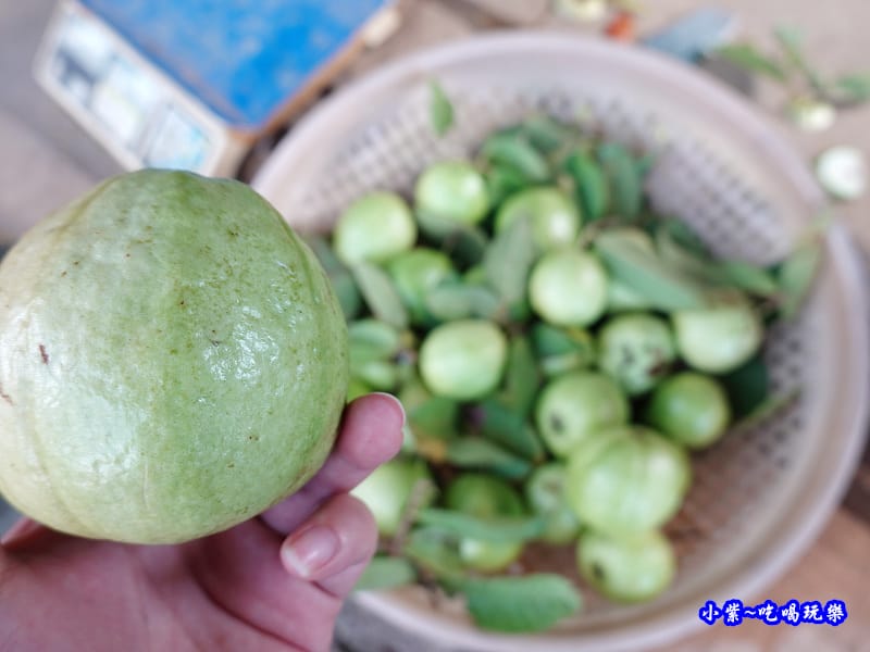 復興蝙蝠洞攤販 (8).jpg 復興蝙蝠洞攤販 (8).jpg