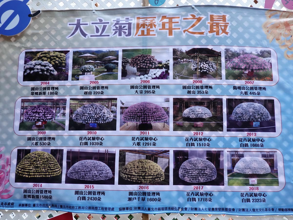 大立菊歷年之最1 (1).JPG 大立菊歷年之最1 (1).JPG