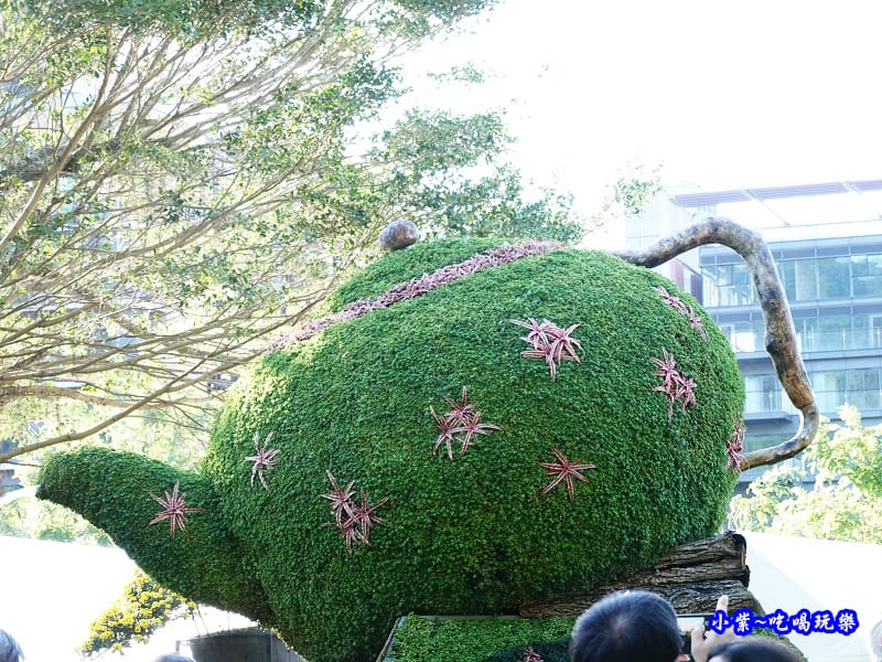 2019士林官邸菊展18.jpg 2019士林官邸菊展18.jpg
