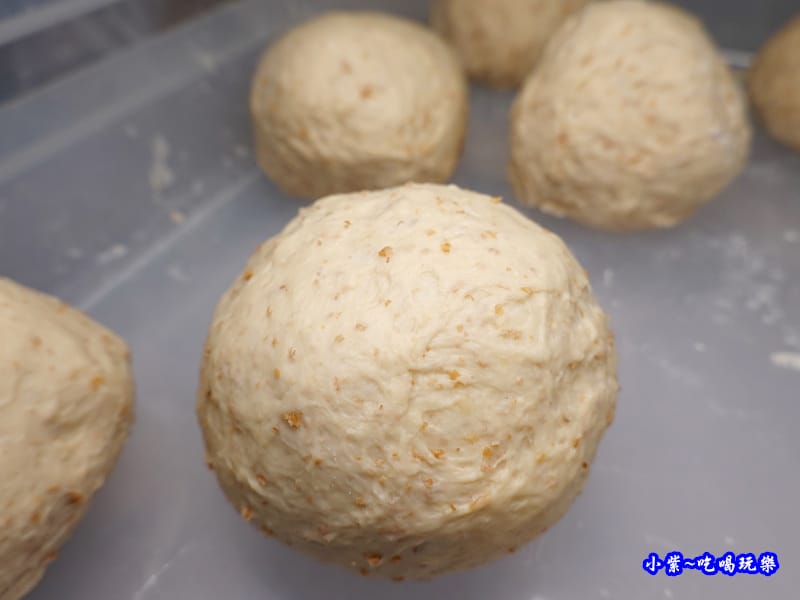 添加小麥老麵麵糰-水果兔窯烤披薩饒河店 (1).jpg