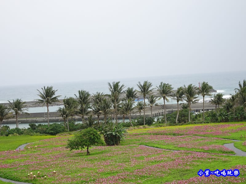 2017成功花海-觀景台 (6).jpg 2017成功花海-觀景台 (6).jpg
