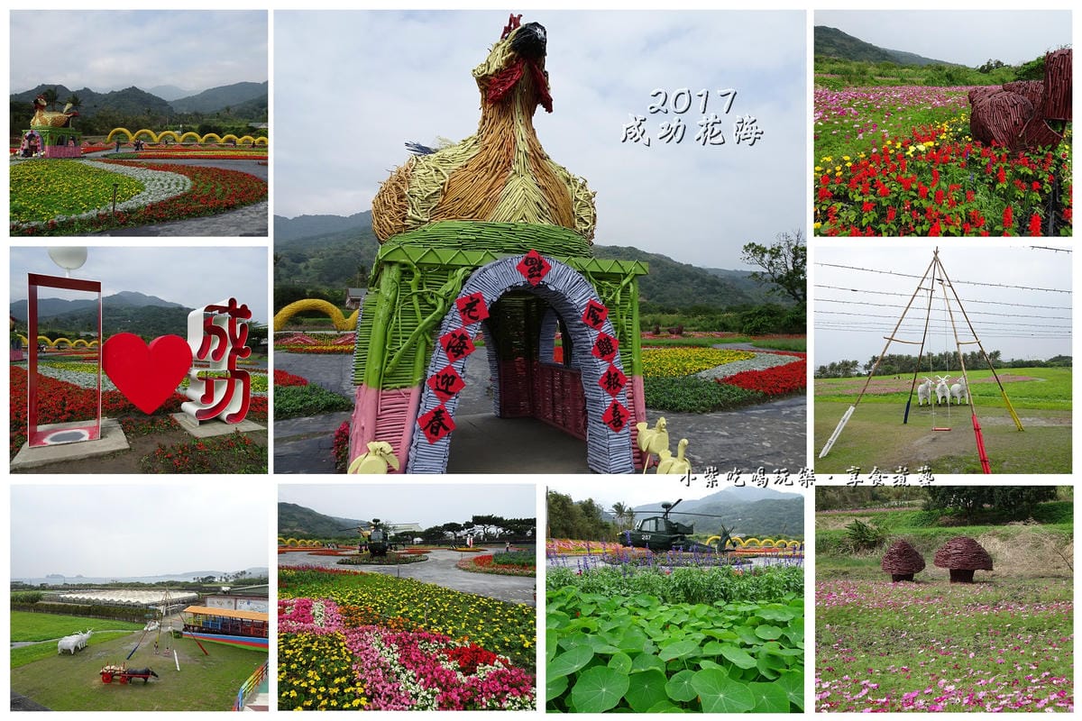 2017台東成功花海.jpg 2017台東成功花海.jpg