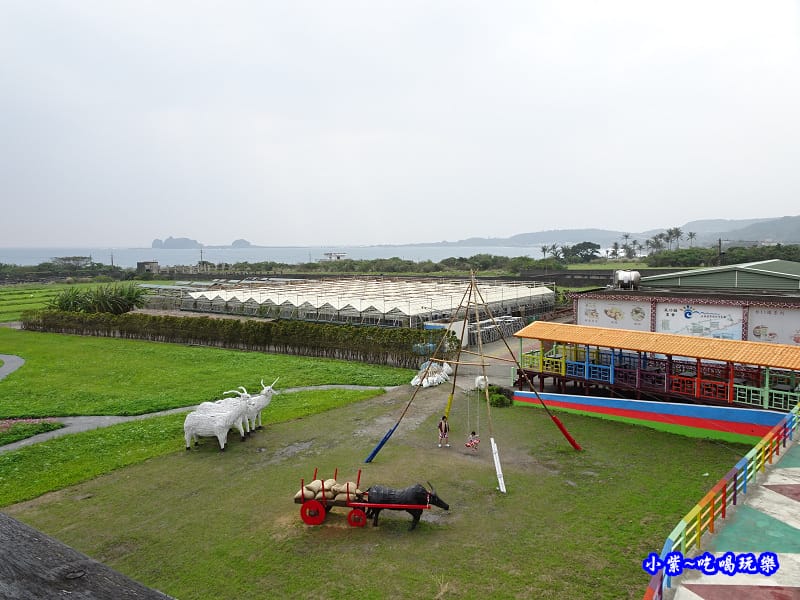 2017成功花海-觀景台 (1).jpg 2017成功花海-觀景台 (1).jpg