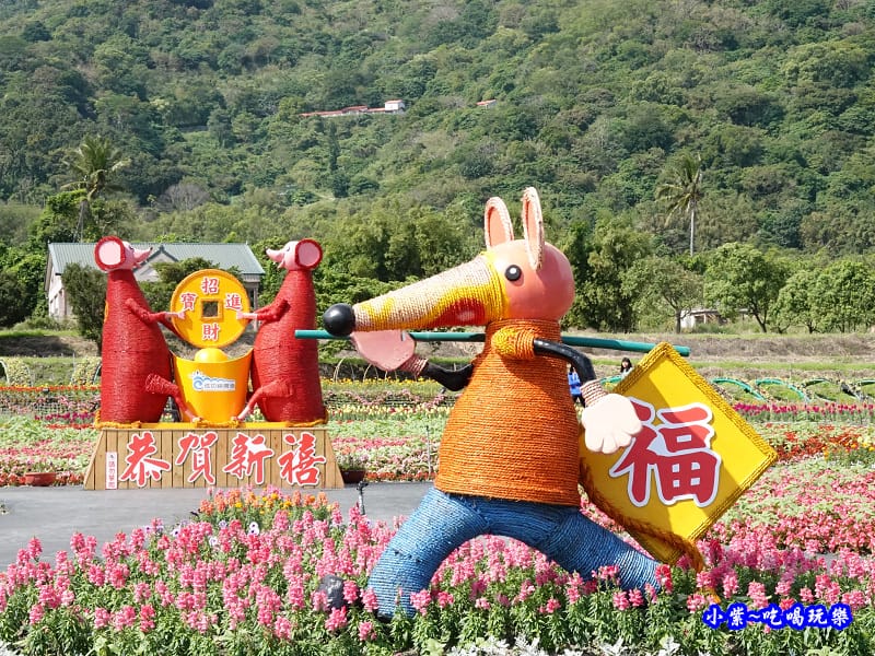 2020台東成功花海 (7).jpg 2020台東成功花海 (7).jpg