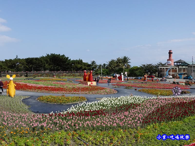 2020台東成功花海 (2).jpg 2020台東成功花海 (2).jpg