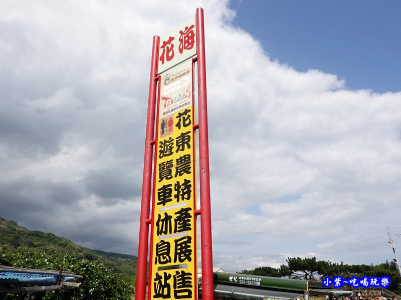 2020台東成功花海 (3).jpg 2020台東成功花海 (3).jpg
