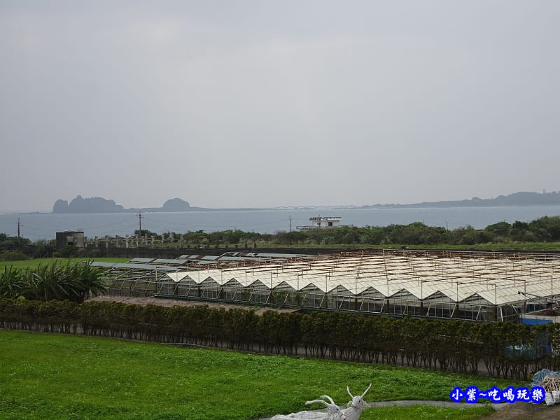 2017成功花海-觀景台 (3).jpg 2017成功花海-觀景台 (3).jpg