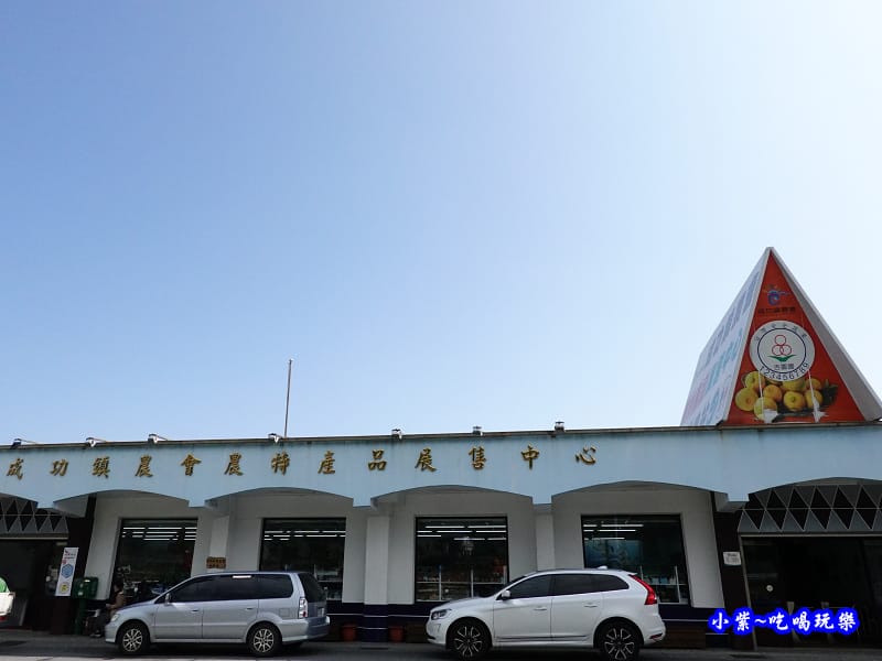 2020台東成功花海 (4).jpg 2020台東成功花海 (4).jpg