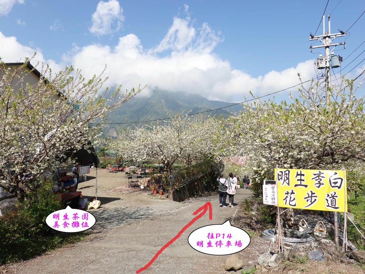 明生花步道、觀景步道景觀 (2).jpg 明生花步道、觀景步道景觀 (2).jpg