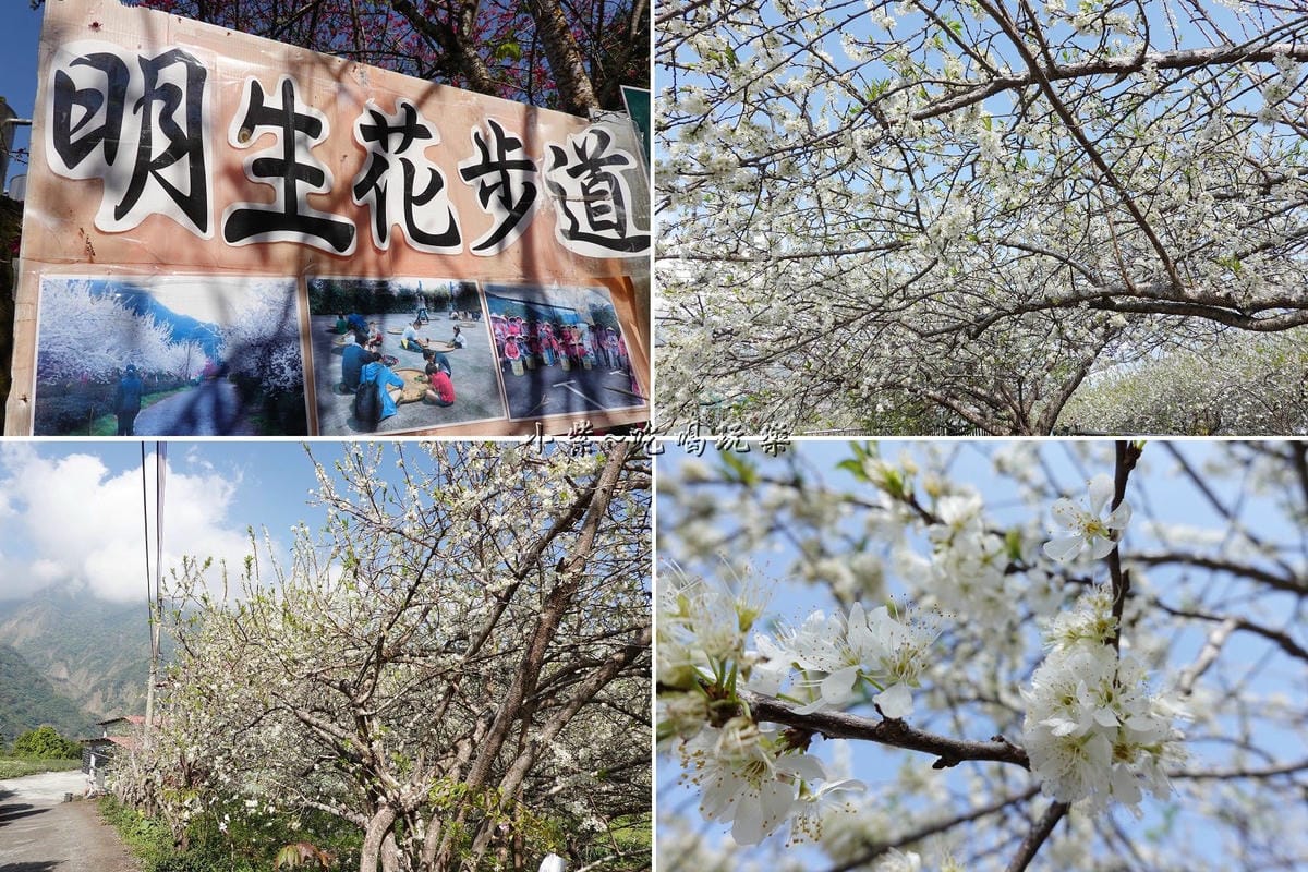 明生花步道、觀景步道景觀 (17).jpg 明生花步道、觀景步道景觀 (17).jpg