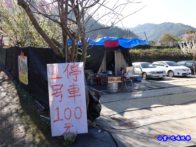 1號停車場-李花園。草坪頭櫻花季 (12).jpg 1號停車場-李花園。草坪頭櫻花季 (12).jpg
