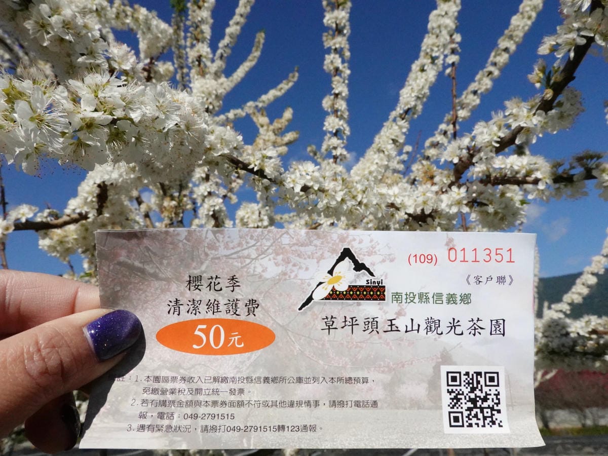 草坪頭櫻花季賞遊路線地圖 (3).JPG 草坪頭櫻花季賞遊路線地圖 (3).JPG