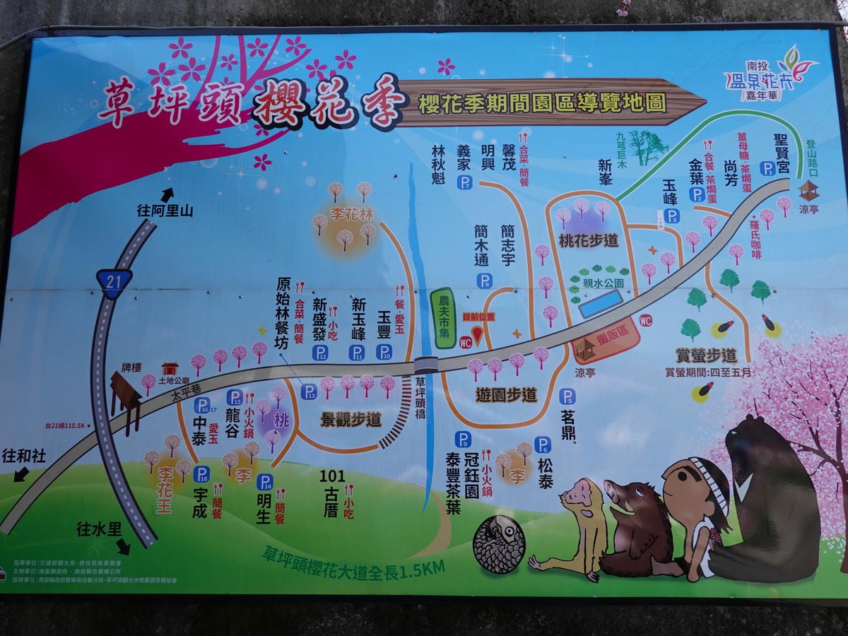 草坪頭櫻花季賞遊路線地圖 (1).JPG 草坪頭櫻花季賞遊路線地圖 (1).JPG